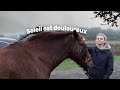 J'APPELLE LE VÉTÉRINAIRE... | VLOG