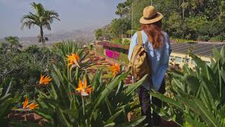 Create an Oasis in Your Backyard: The Best Landscapers Near Me