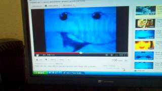 Nick Jr Face Blows Bubble Gum In Reverse