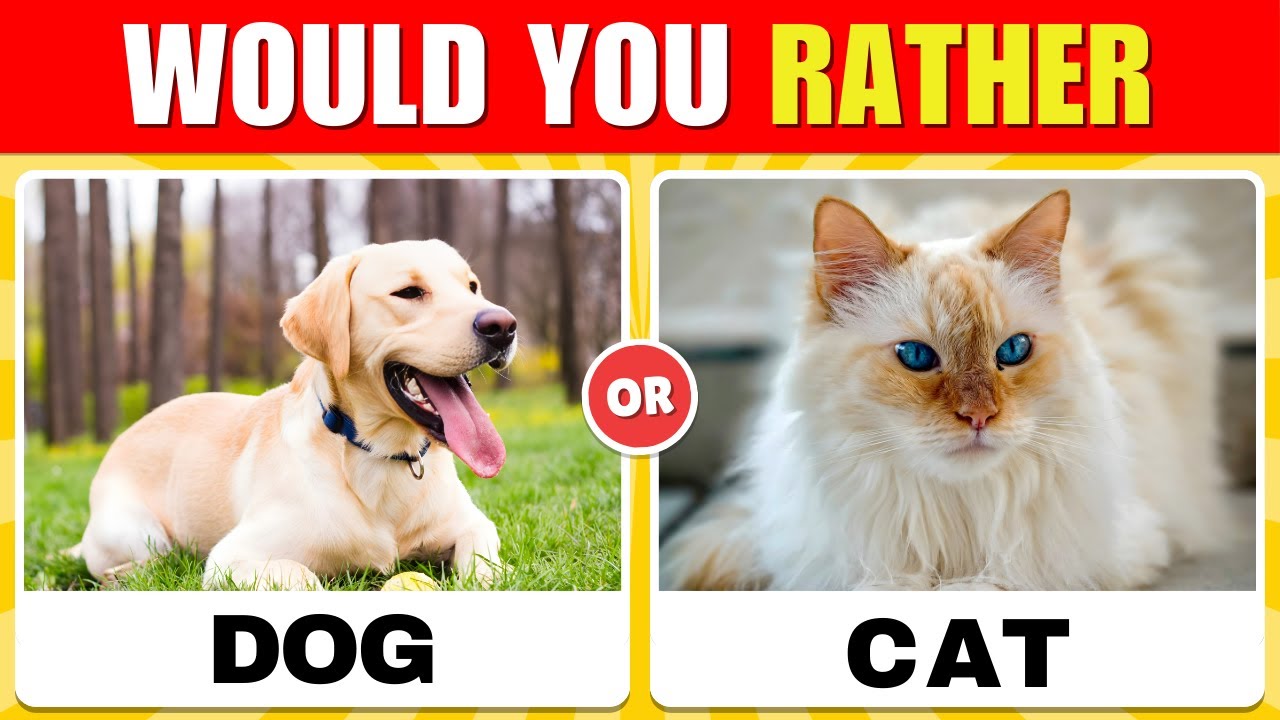 Would You Rather? Dogs Vs Cats Edition 2026 🐶🐱