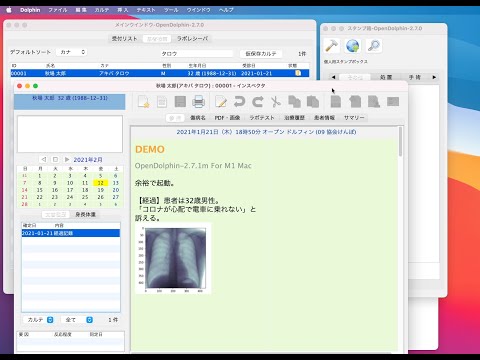 OpenDolphin-2.7m on M1 mac