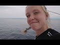 Team Malizia | NEWS ONBOARD | The Ocean Race Europe | Leg 5 | Day 2 | Boat Feed #1