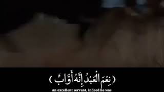 ووهبنا لداود سليمان  بصوت ندي رائع