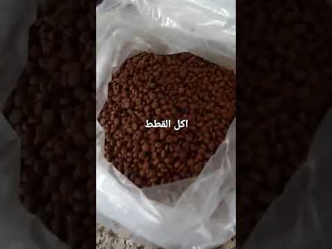 اكل القطط Les Croquettes