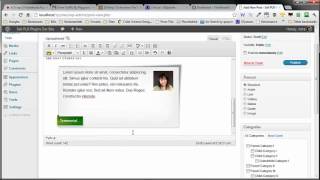 PLR Plugin - Super Styles