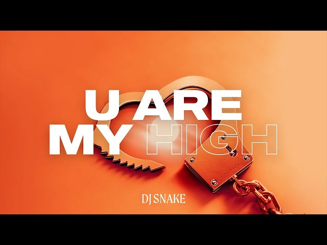 DJ Snake - You Are My High