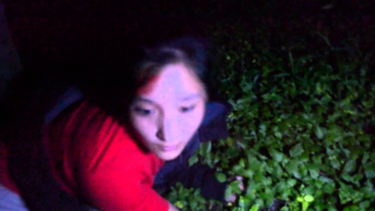 Tibetan Short Horror Movie: [ W H I S P E R ]