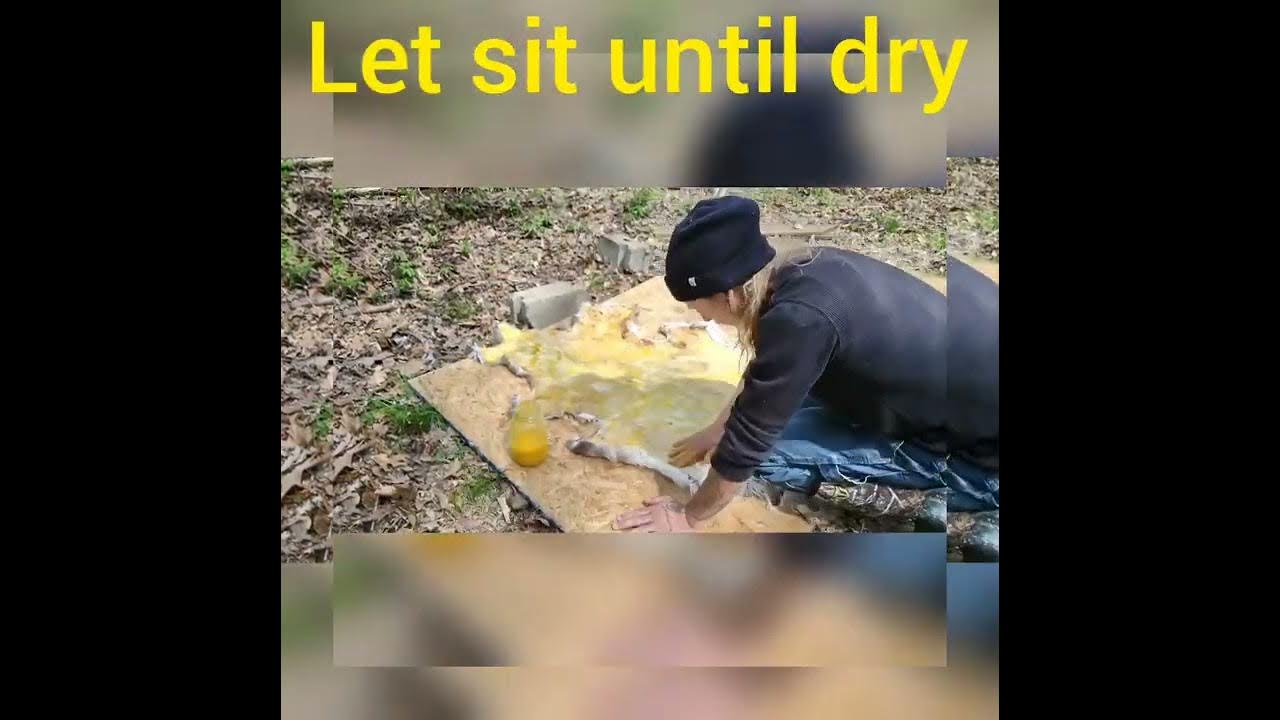 Bassic egg tanning deer hide Timelapse YouTube