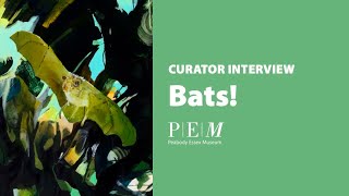 Bats! Curator Interview