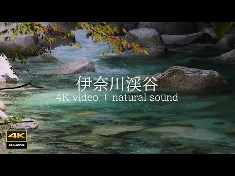 4K映像＋自然環境音  ASMR  /  美しい伊奈川渓谷　伊奈川