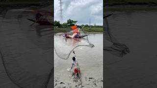 You Won’t Believe This Giant Fish Catch! 😱🎣 #foryou #fishing #viral #shorts