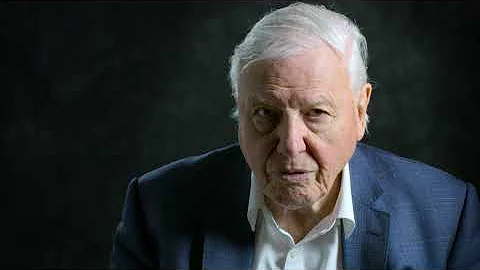 David Attenborough's Witness Statement (A Life on Our Planet)