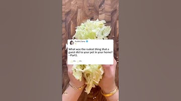 Part1What was the rudest thing that a guest did to your pet in your home?#reddit #story #storytime