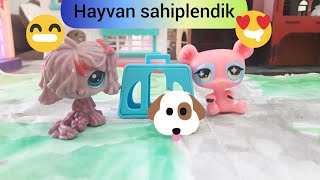 Hayvan Sahiplendik Minişler Donut Tv