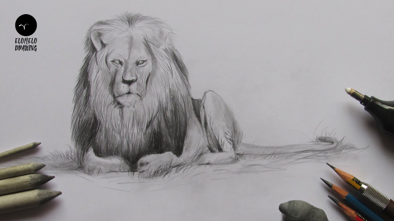 How To Draw A Lion : Pencil Sketch : Lion Drawing - YouTube