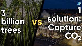 Famous “Planting #trees won’t #decarbonize a #refinery.” - It’s not controversial. It’s #carbon_math. Net Worth