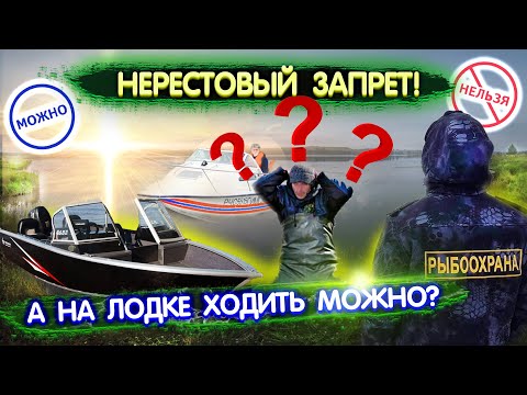 Нерестовый запрет. Можно ли ходить на лодке с мотором в запрет? Правила рыболовства