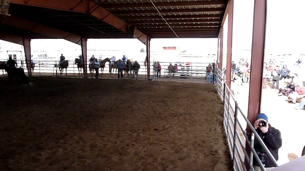 Bids come in for wild horse at Carson City prison adoption Feb. 11, 2012