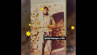ji kerwanê şehîdê ŞEHÎD\