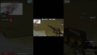 Скай про состав годсент женщины в кс #skywhywalker #csgo #скайвайволкер #twitch #ксго #скайволкер