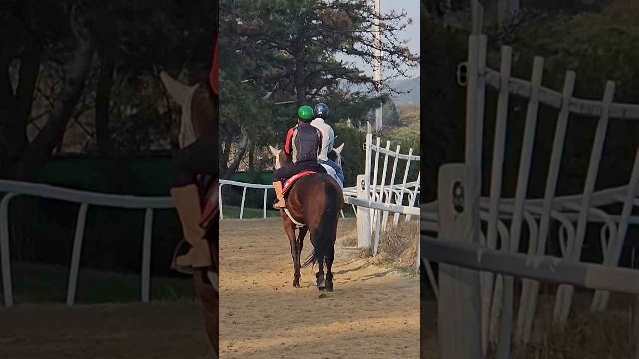 이제 진짜 봄이네요^^