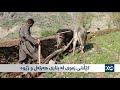 کێڵانی زەوی لە بناری هەرتەل و زێوە