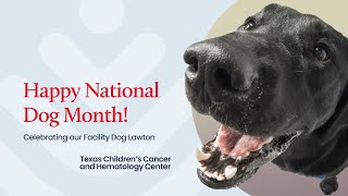 Happy National Dog Month! Meet Lawton, a Facility Dog at Texas Children’s Cancer & Hematology Center