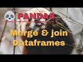 How to merge DataFrames in pandas | Pandas Tutorial for beginners