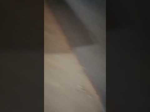 حادث حي الواحة مقابل فندق هوليدي إن 04 05 2021 الساعه 04 00 قبل صلاة الفجر بسبب إستهتار و سرعه