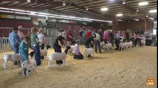American Dorper Sheep Breeders Society Live Stream