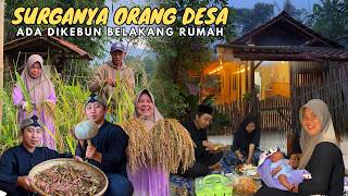 Kehidupan Sederhana Didesa  Panen Padi Metik Labu Nyari Rempah Dikebun Makan Malam Bareng