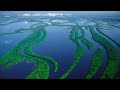 Реки мира: Амазонка. Правда, что это самая длинная река?