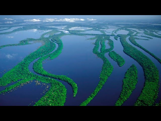 Реки мира: Амазонка. Правда, что это самая длинная река?