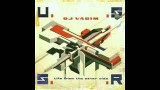 skinnyman &amp; dj vadim - life from the itchy side