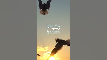 أرح سمعك وقلبك تلاوه خاشعه 🥹❤️❤️ ما تيسر من (سورة النور) 🌿❤️🌷 القارئ عبد الباسط عبد الصمد 🌿
