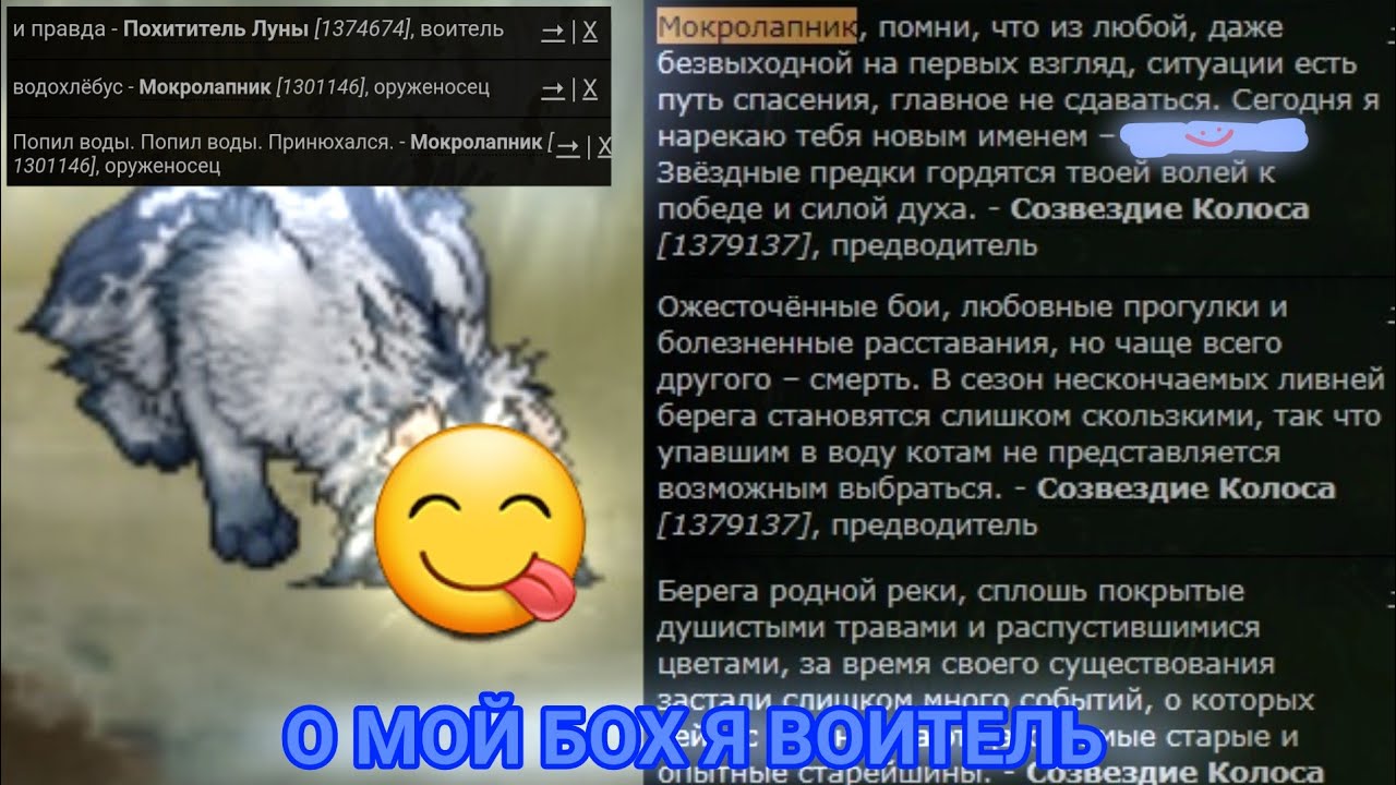 😳ПОСВЯТИЛАСЬ В ВОИТЕЛИ!! ТАК БЫСТРО?? Модельки питья и СМЕНА ОКРАСА! | | CatWar😳