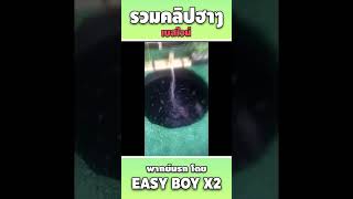 รวมคลิปฮา พากย์นรก #short #easyboy #คลิปฮา #เบสไวน์