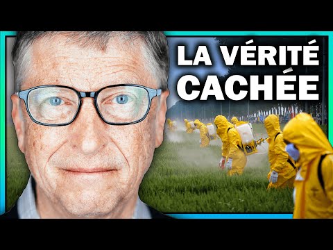 Vidéo: Est-ce que Bill Gates possède le plus de terres agricoles ?