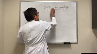 Antiphospholipid antibodies