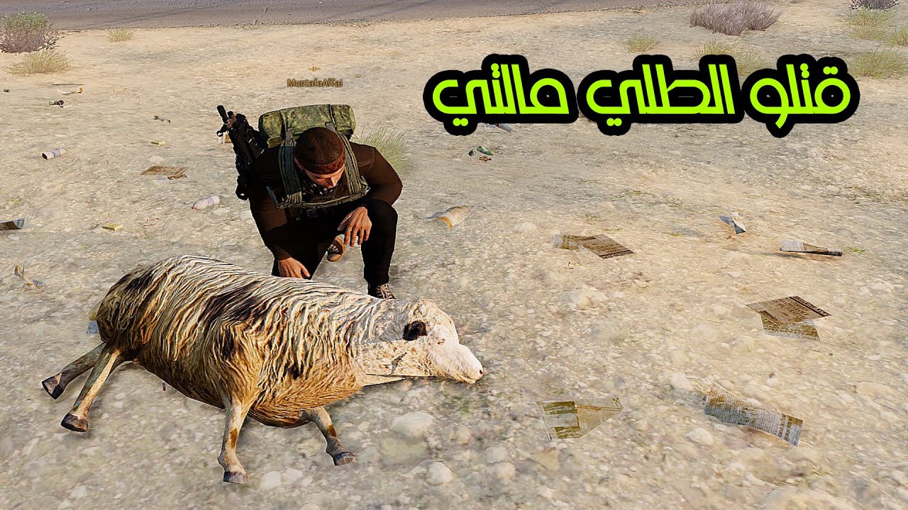 اشتغلت راعي غنم والعصابات كتلو الطلي مالتي