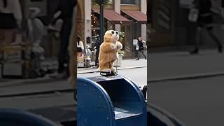 Only in New York! 😳 #nyc