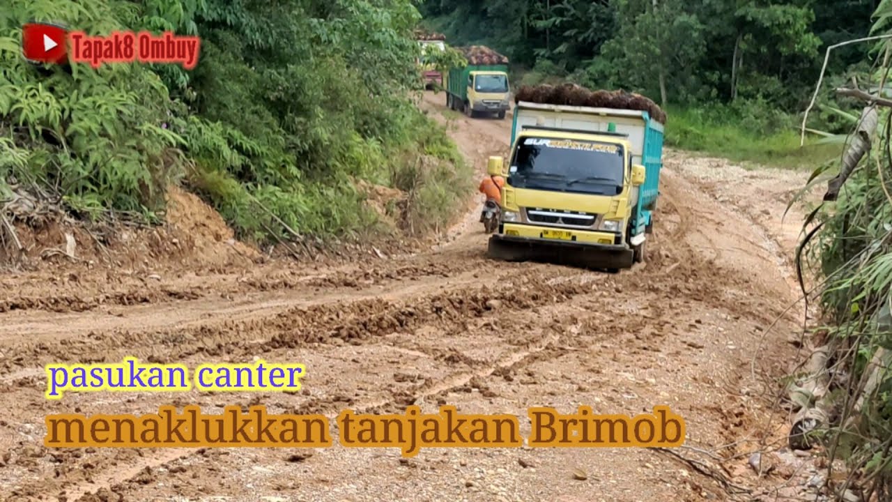 Mitsubishi Canter|| Adu kuat Ternyata HDX Dan HDL Sama-sama Loyo