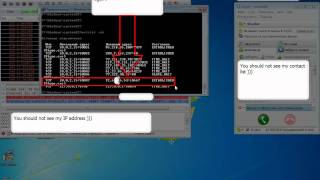 Celebrity IP addresses disclosure on Skype Net Worth