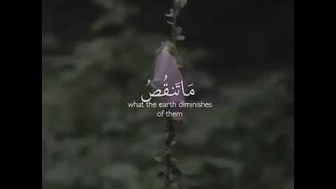 تلاوة مريحة ||بصوت القارئ حسام الدين عبادى ||حالات واتس اب قران 💙⁦♥️⁩