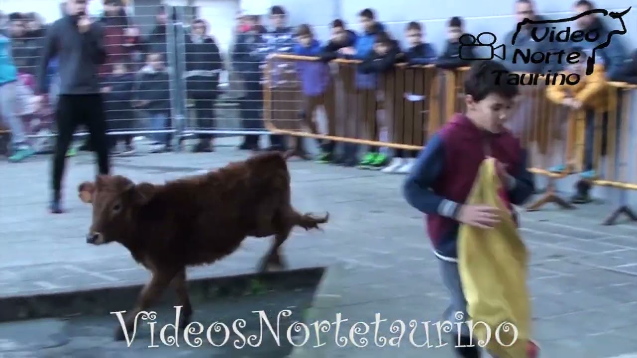 Bergara (Guipúzcoa) Ponis y Becerros 17-12-2022 Ganadería Bergarako Zezenak