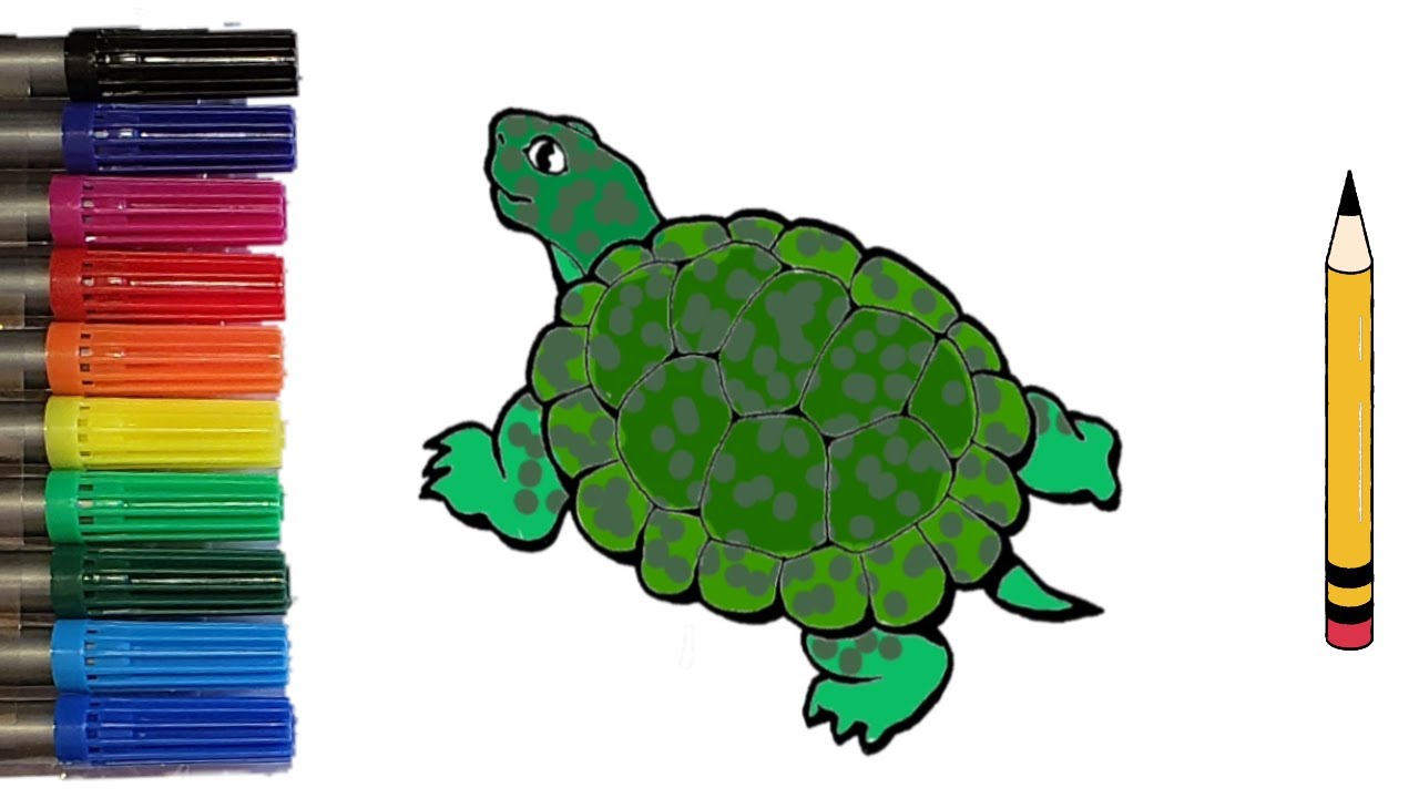 How to Color a Turtle 🐢 | Как Раскрасить  Черепаху | Як Розфарбувати Черепаху