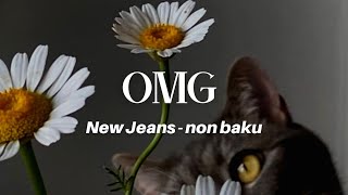 New Jeans - OMG || Lirik Terjemahan Sub Indo - Non Baku