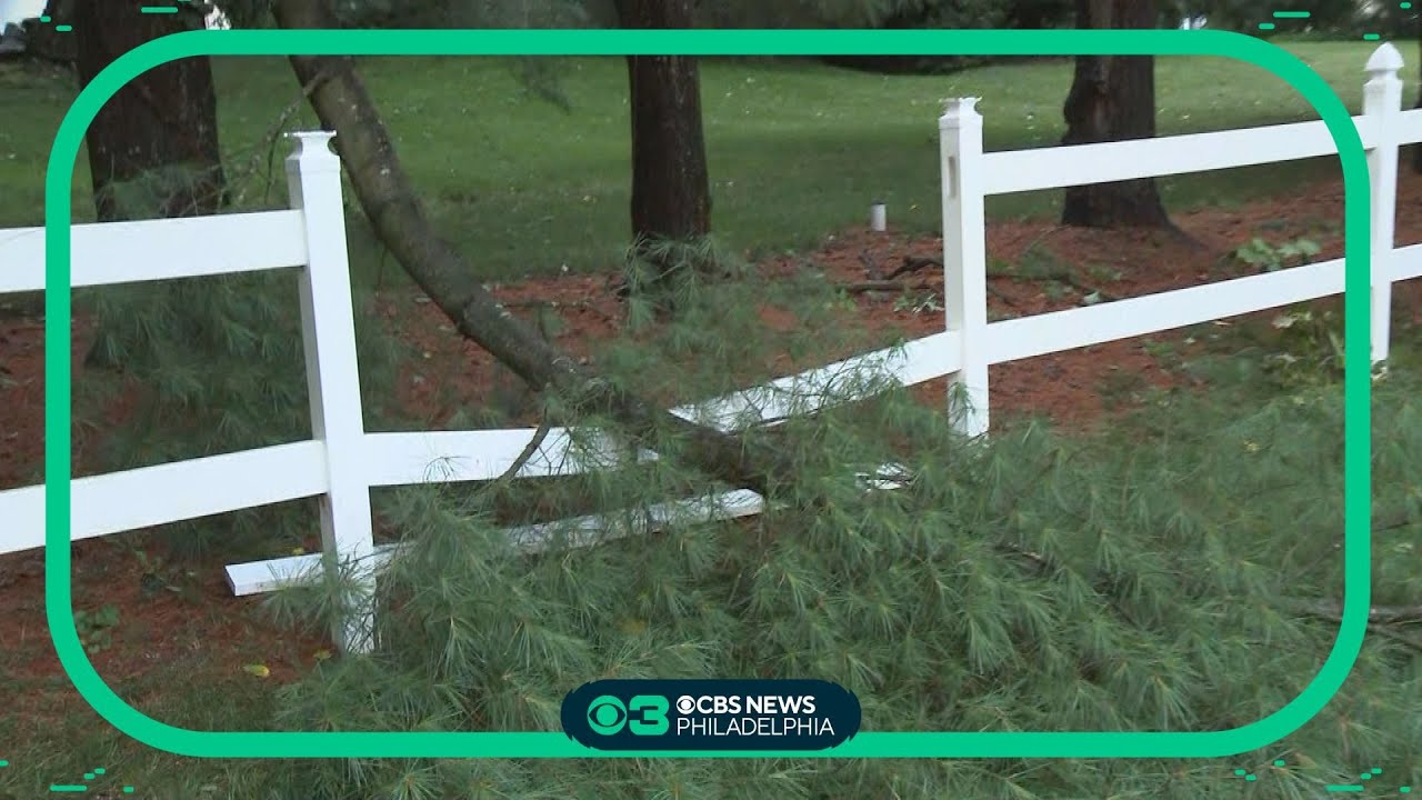 Homeowners wake up to downed power lines after severe storms - YouTube
