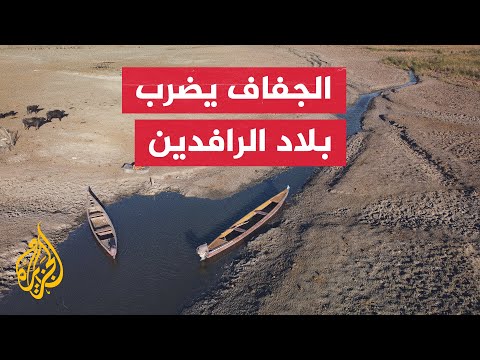 الجفاف يهدد أهوار العراق والمواشي أولى ضحايا شح الأمطار
