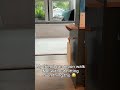 He can moonwalk not without hitting something 😂